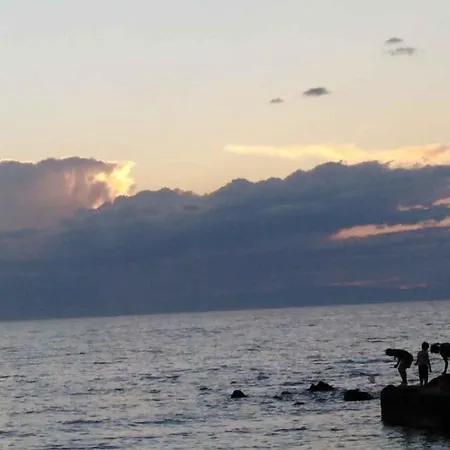 Appartamento In Umag/istrien 36919